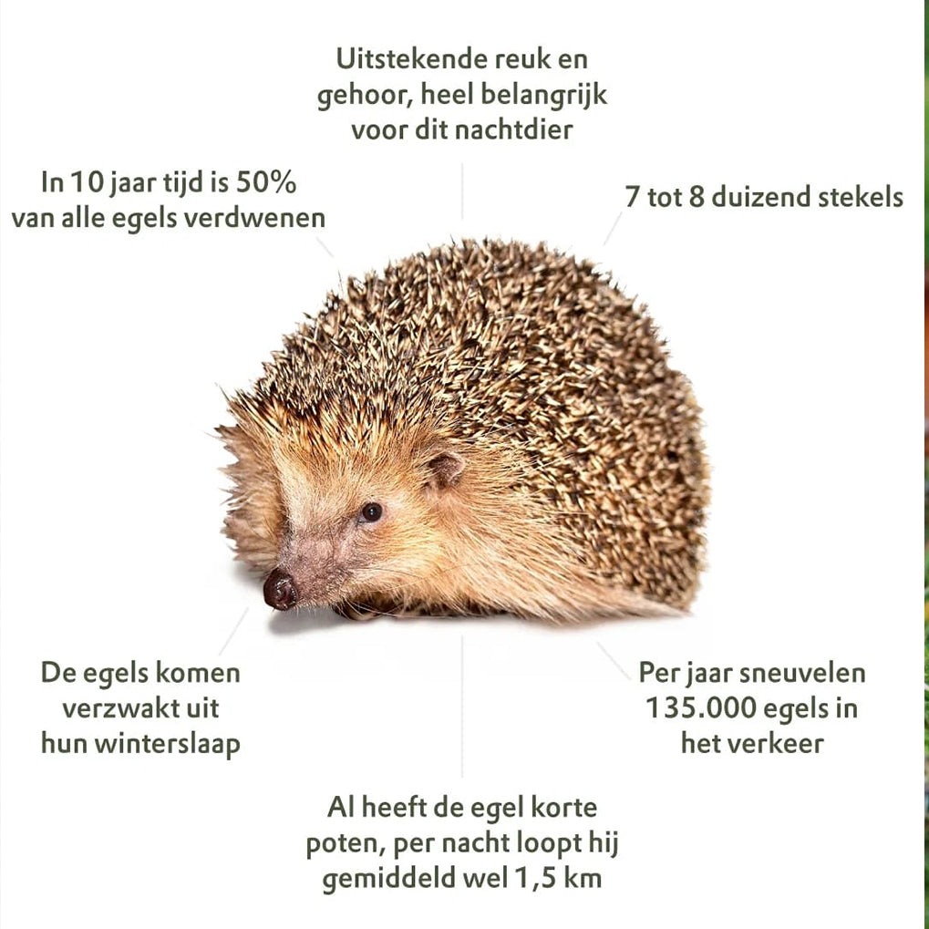 Steigerhouten egelhuisje