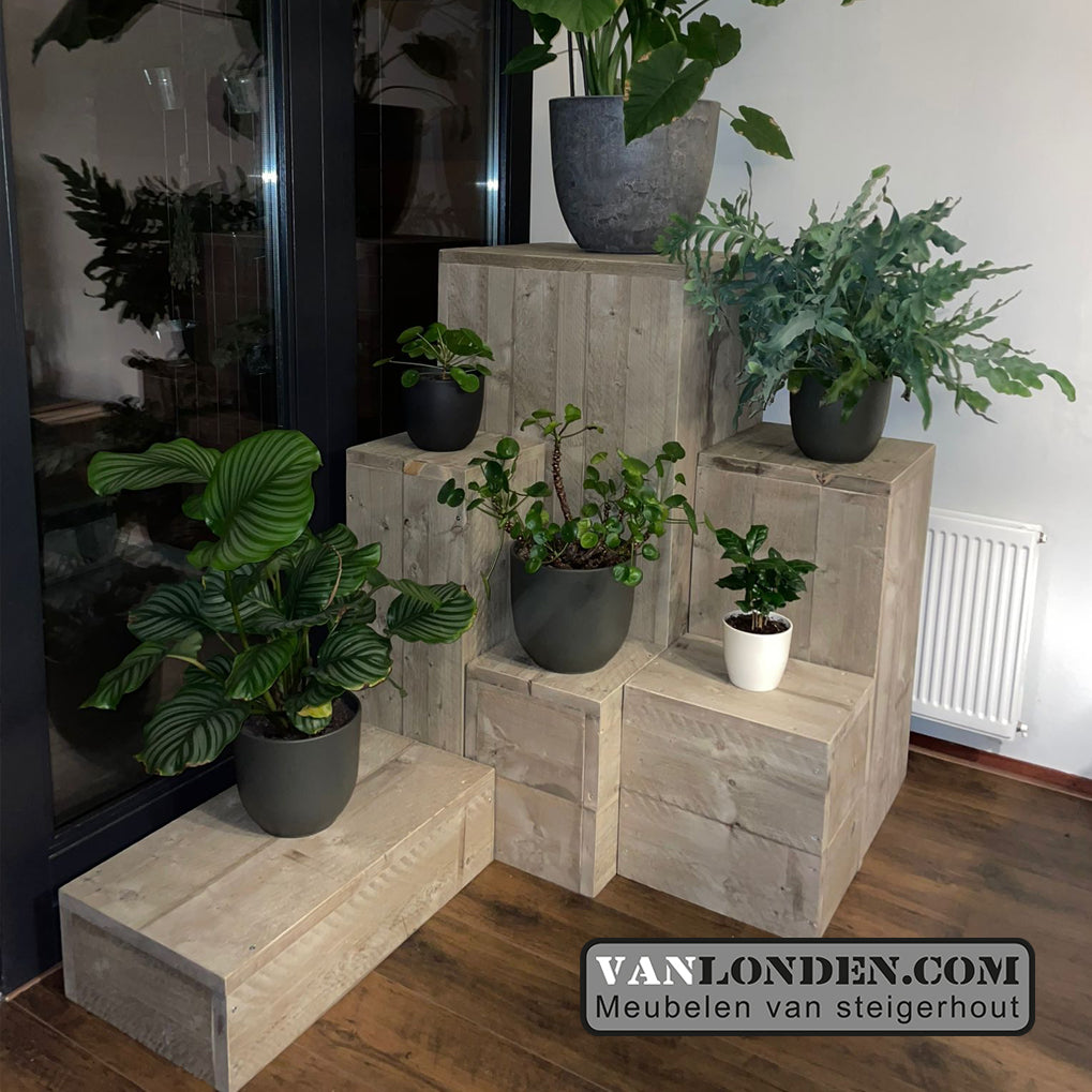 Steigerhouten planteneiland Jose