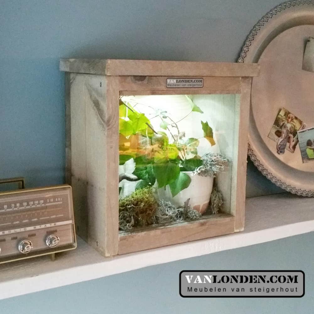 steigerhouten terrarium Joey