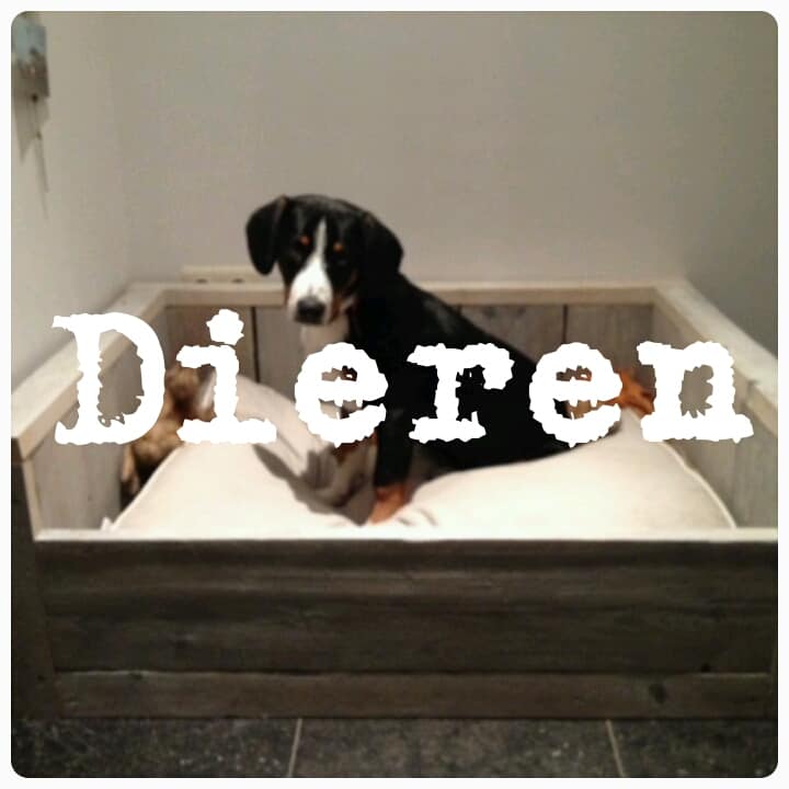 Steigerhouten dieren accessoires kopen