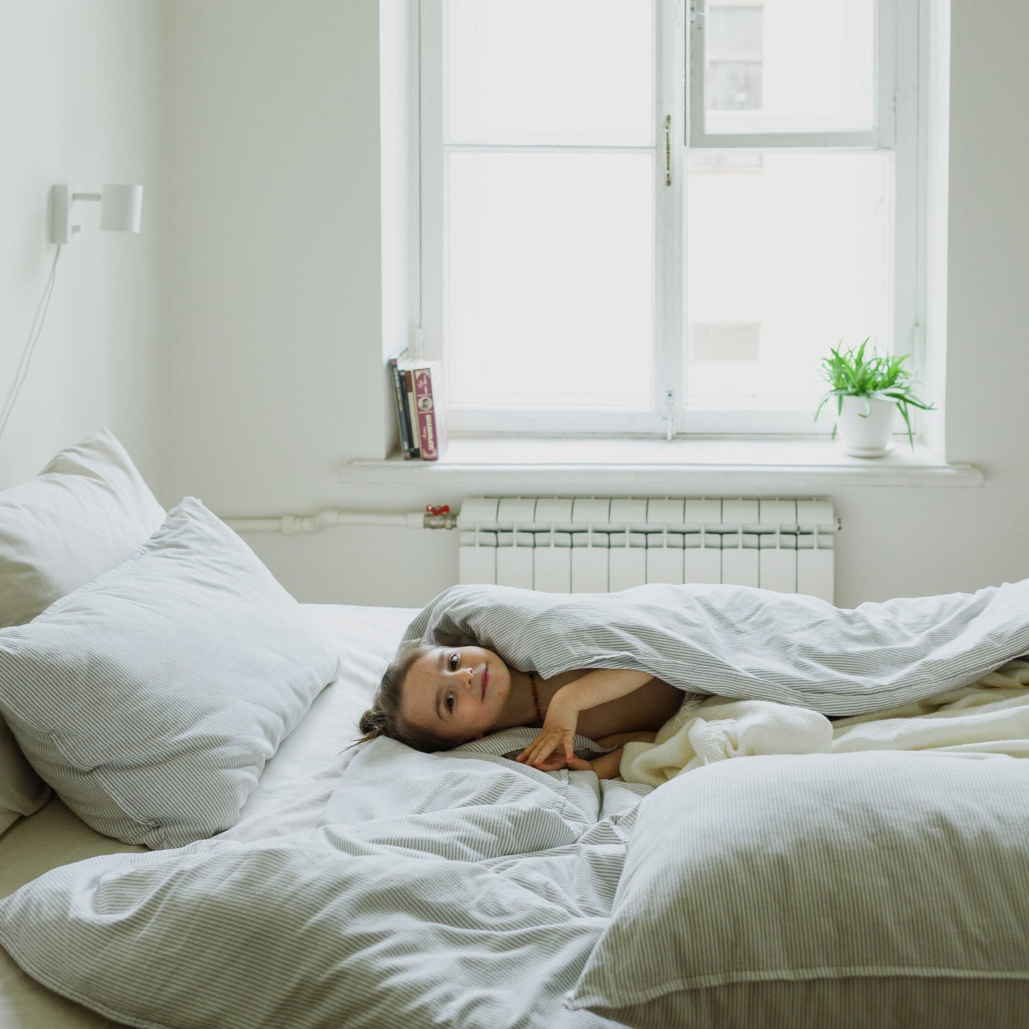 Dekbedden en kussens