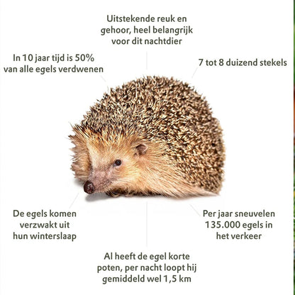 Steigerhouten egelhuisje