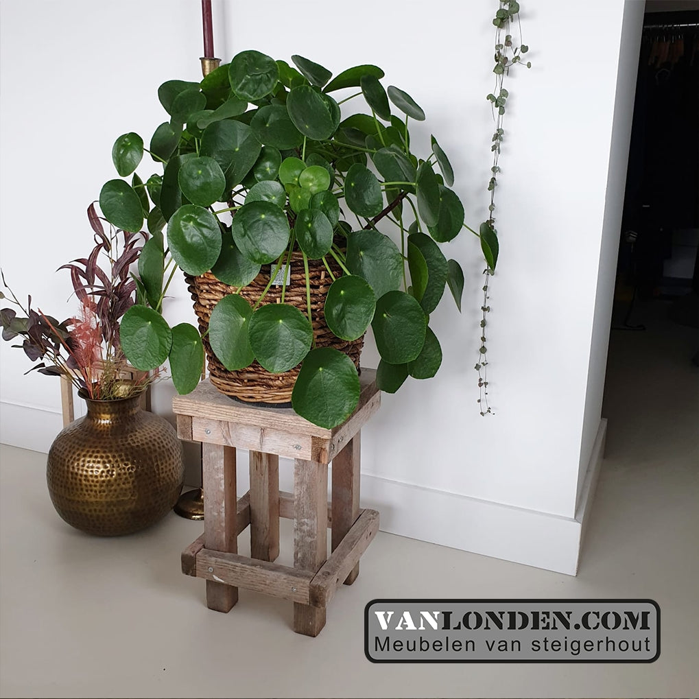 Steigerhouten krukje Fox