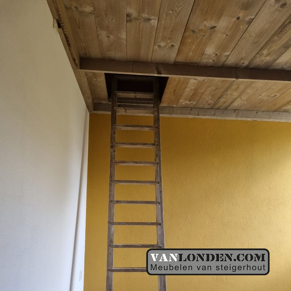 Steigerhouten vide Reinier