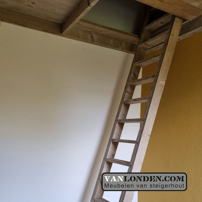 Steigerhouten vide Reinier