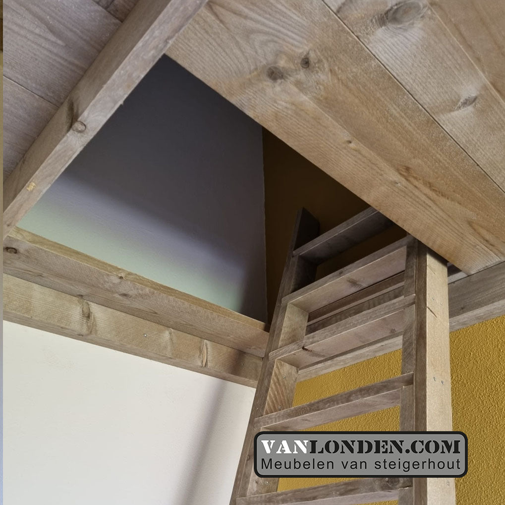 Steigerhouten vide Reinier