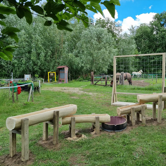 Waterbaan van boomstammen Charly