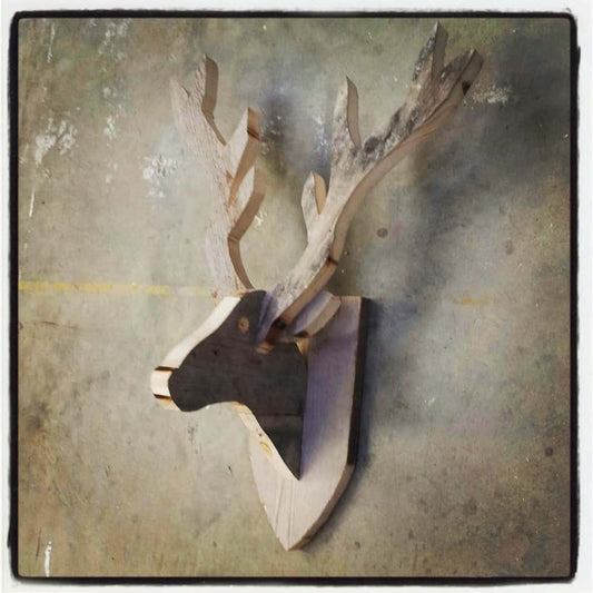 Hertenkop van steigerhout