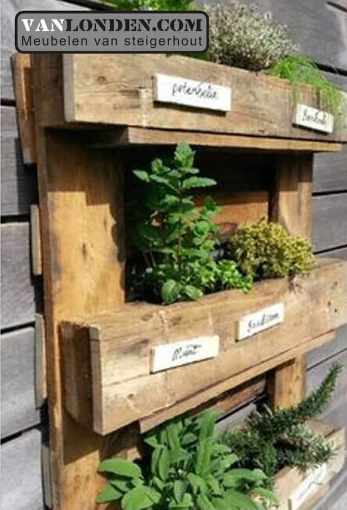 Kruidentuin wand Fien