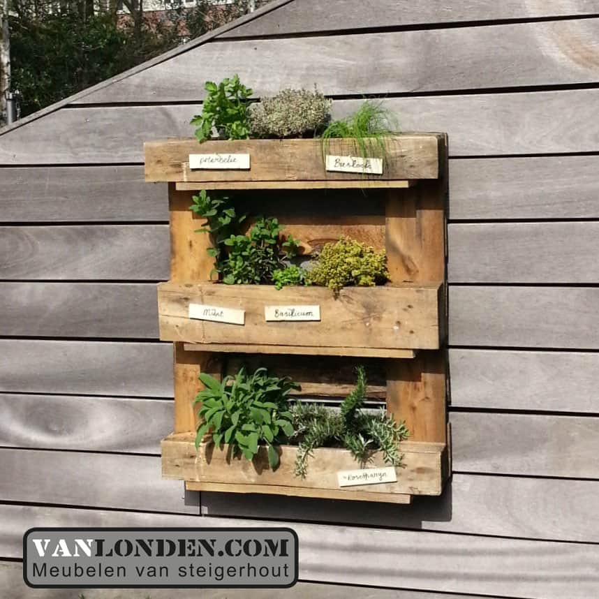 Kruidentuin wand Fien