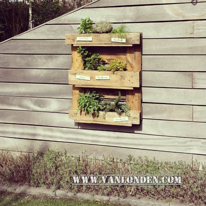 Kruidentuin wand Fien