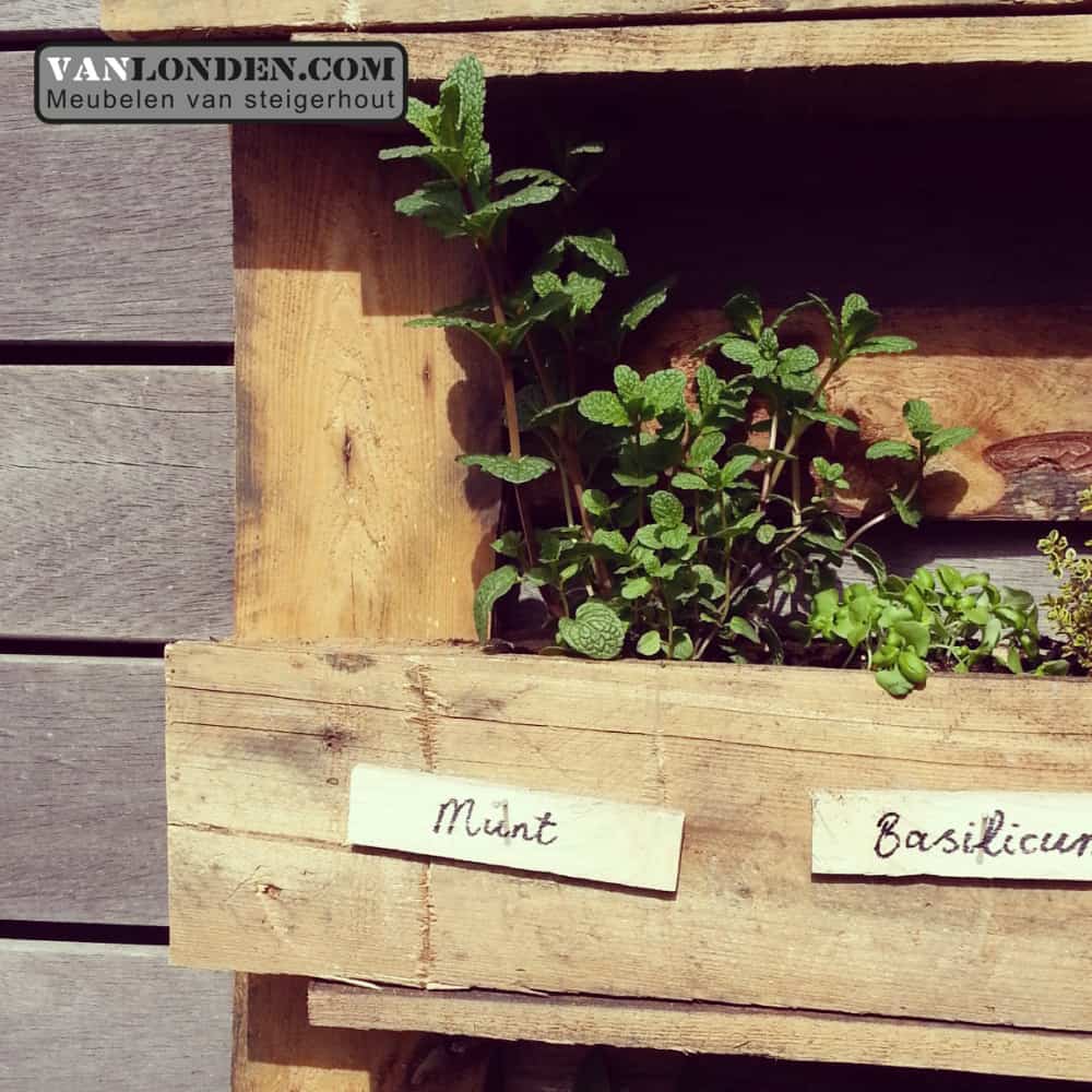 Kruidentuin wand Fien