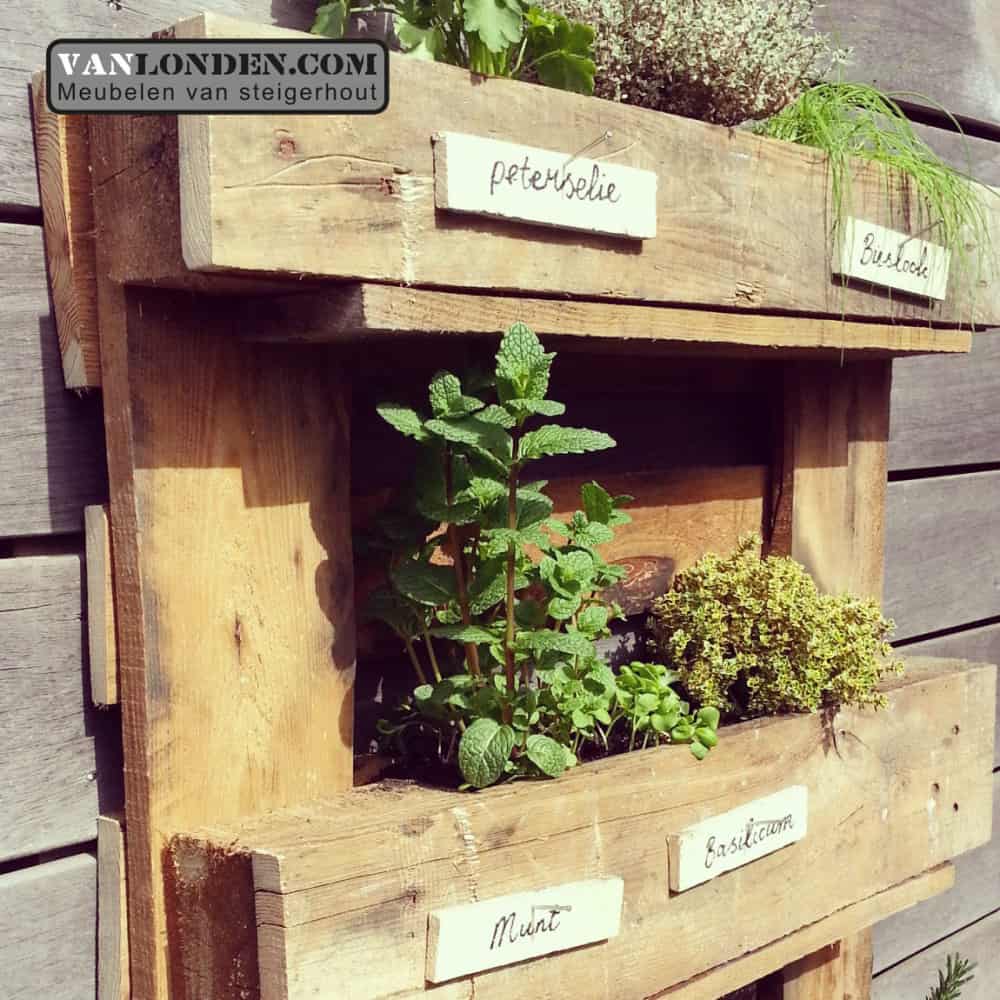 Kruidentuin wand Fien