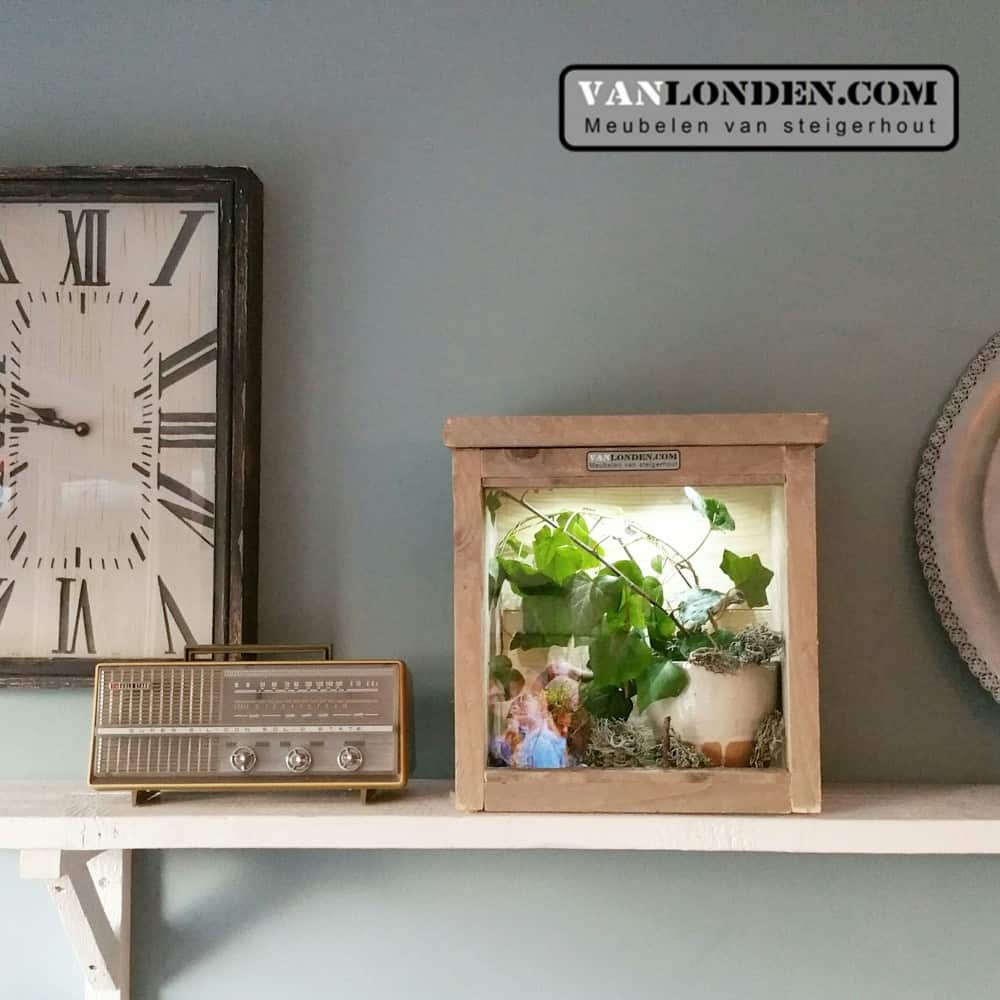 steigerhouten terrarium Joey