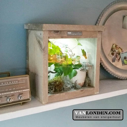 steigerhouten terrarium Joey