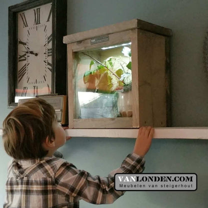 steigerhouten terrarium Joey