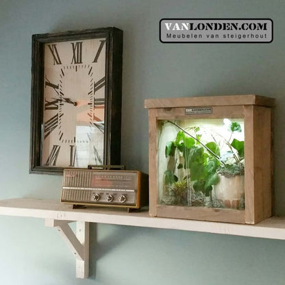 steigerhouten terrarium Joey