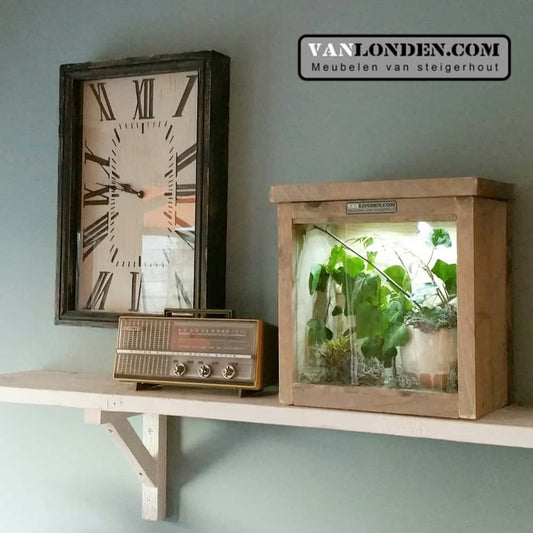 steigerhouten terrarium Joey
